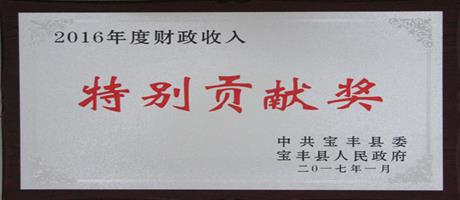 2016年度財政收入特別貢獻(xiàn)獎